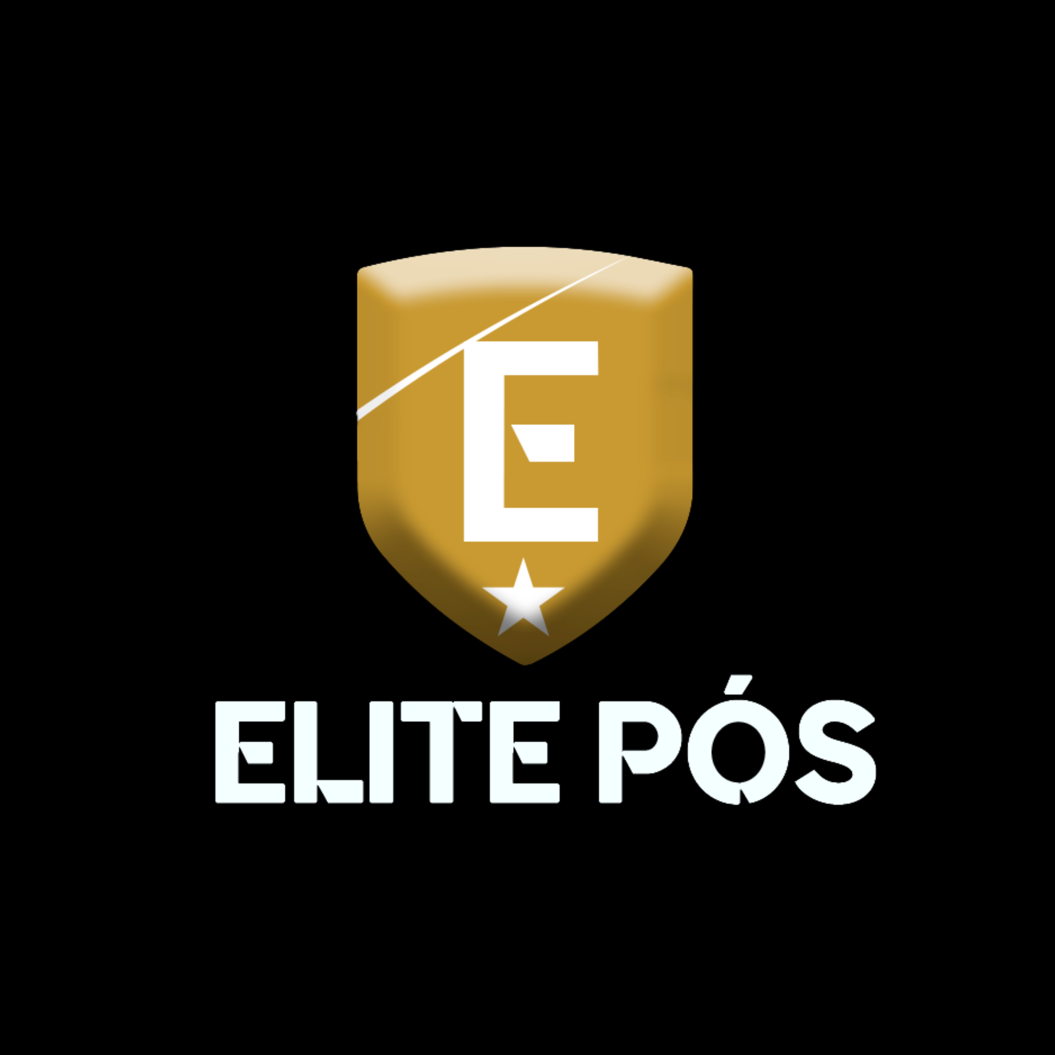 logo (2)